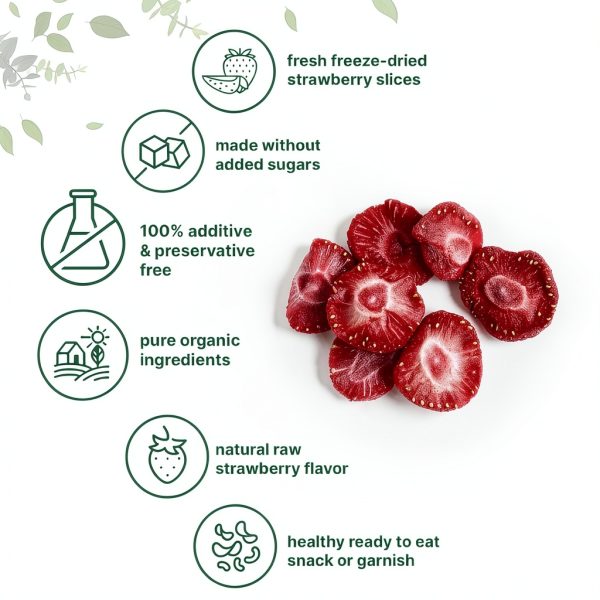 Micro Ingredients Organic Freeze Dried Strawberries Vegan-3