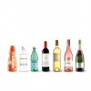 Electric Wine Chiller, Single Bottle Cooler for 750ml Wine or Some Champagne,Stainless Steel Iceless Cooler Keep Cold Up to 24h,Kitchen,Bar and RV Vino Accessory,Gift for Vino Lover-7